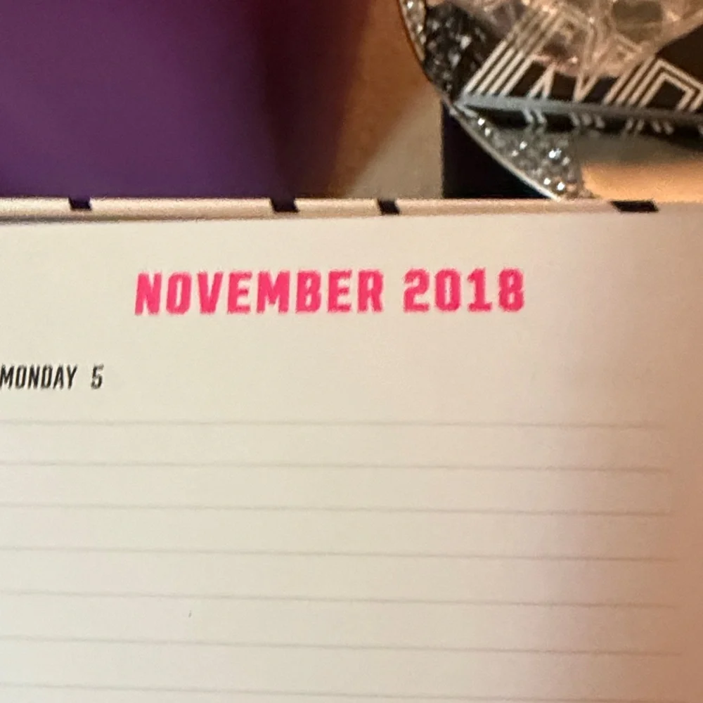 Pink Victoria’s Secret datebooks 2017-2019 for collectors brand new
